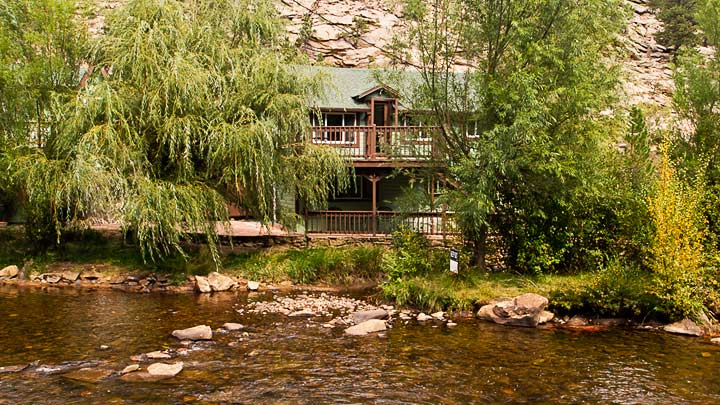 The Tree House